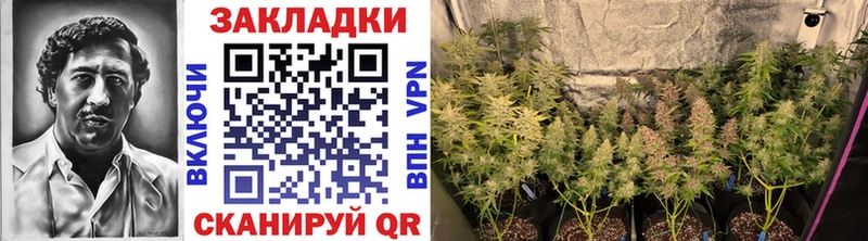 Названия наркотиков Уяр A PVP  АМФЕТАМИН  KRAKEN ТОР  Каннабис  МЕФ  ГАШИШ 