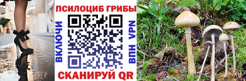 Псилоцибиновые грибы Psilocybine cubensis  Уяр 